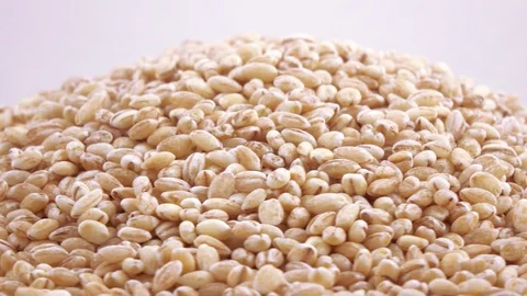 Pearl barley with pests 動画素材 86518404