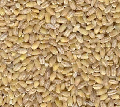 Pearl barley Foto stock