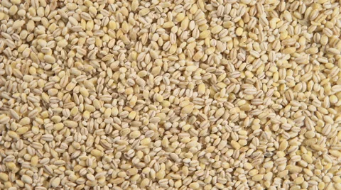 Pearl barley (Rotation) Stock Footage 65374231