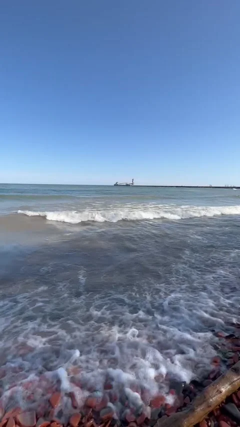 Pearl Beach 스톡 동영상 247663302