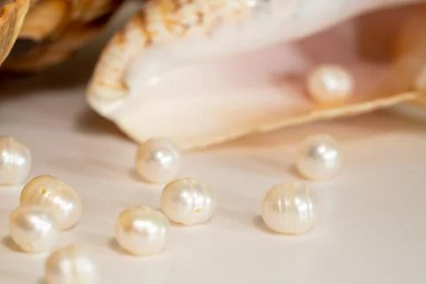Pearl beads lie in a seashell shell, close up photo Stock Photos