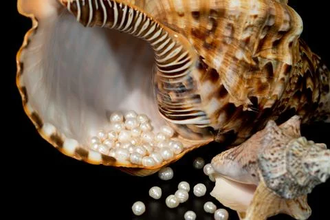 Pearl beads lie in a seashell shell, close up photo Foto stock
