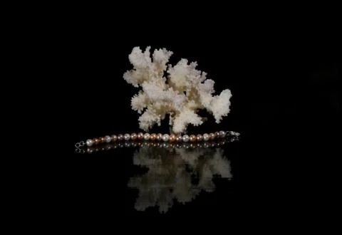Pearl bracelet with coral Stock Photos