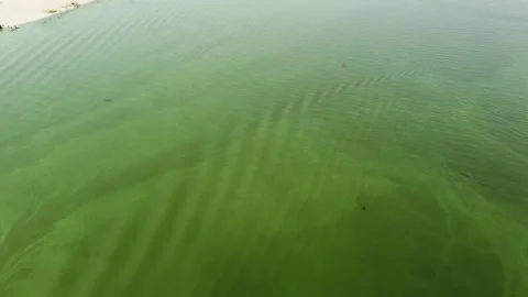 Pearl green water surface with small water and a piece of sandy beach Stock Footage 135824122