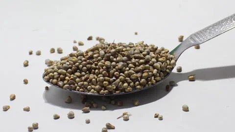 Pearl millet with selective focus Vidéo 138928277