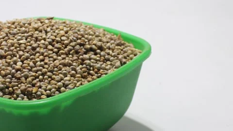 Pearl millet with selective focus 스톡 동영상 138928456