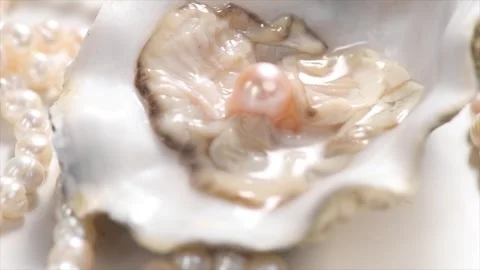 Pearl, Natural pearls inside the shell closeup, rotating. Nacre. Mother-of-pearl Stock Footage 282128294