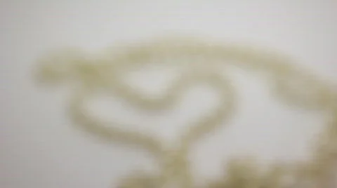 Pearl necklace Stock Footage 836099