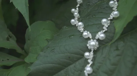 Pearl necklace in the grass Stock Footage 58122004