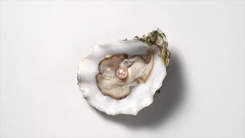 Pearl, One Natural pearl inside the oyster shell, close up, rotating over grey Stock Footage 282128416