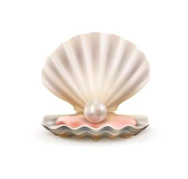 Pearl in open shells of scallop seashell 3d vector イラスト素材