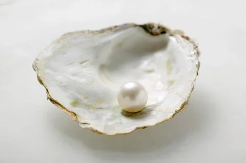 Pearl in oyster shell Stock Photos