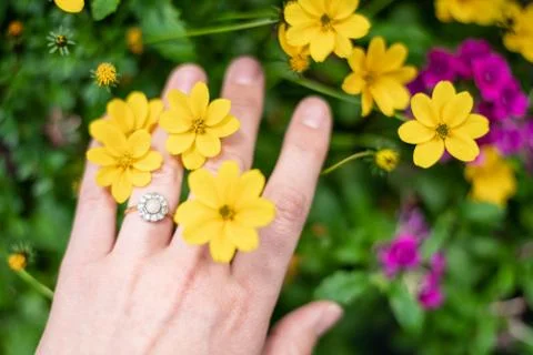 Pearl Ring 库存照片