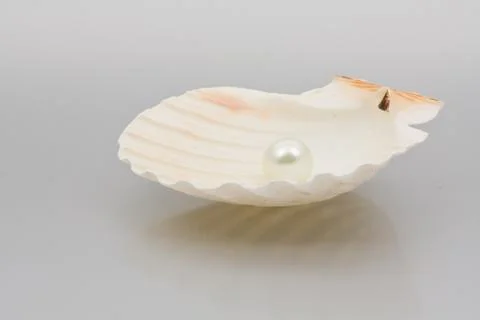Pearl in sea shell 스톡 사진
