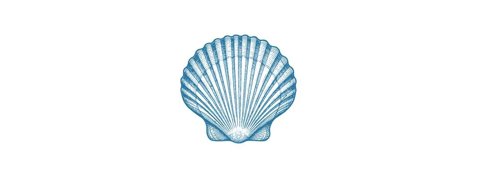 Pearl Seashell Closed Vector – Elegant Marine Illustration Stock Illustration