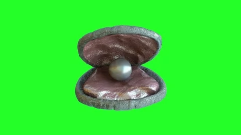 Pearl shell open render 3D on a green background Stock Footage 82071705