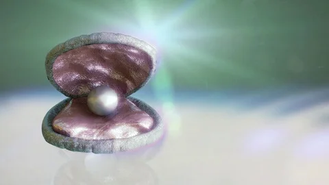 Pearl shell open render 3D Stock Footage 82071712
