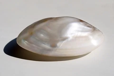 Pearl shell Stock Photos