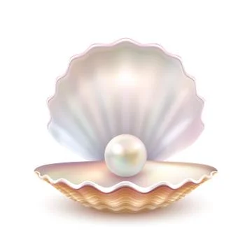 Pearl Shell Realistic Close Up Image Stock Illustration