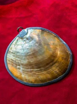 The pearl shell as a sea shell object 스톡 사진
