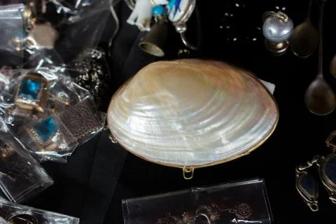The pearl shell as a sea shell object Stock Photos