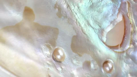 Pearl texture background in pastel tones. seashell texture  with soft gradients Stock Footage 333861646