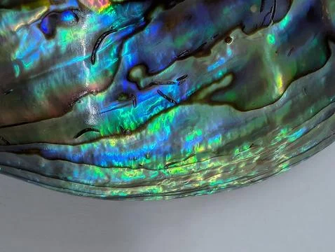 Pearl texture from exotic shell 库存照片