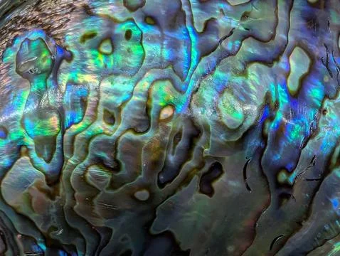 Pearl texture from exotic shell 库存照片