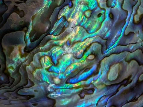 Pearl texture from exotic shell 库存照片