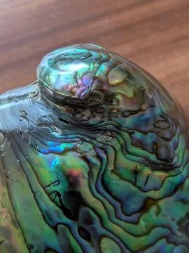 Pearl texture from exotic shell Stock Photos