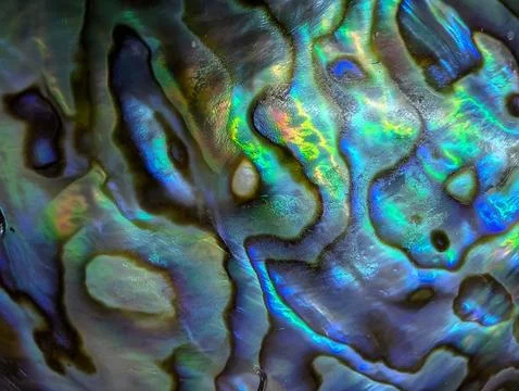 Pearl texture from exotic shell Stock Photos