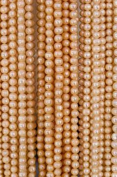 Pearl texture Stock Photos