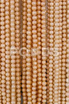 Pearl texture Stock Photos