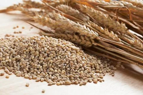 Pearled barley Stock Photos
