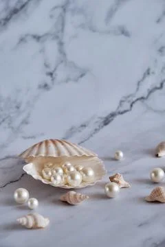 Pearls in a shell on a marble background Stock Photos