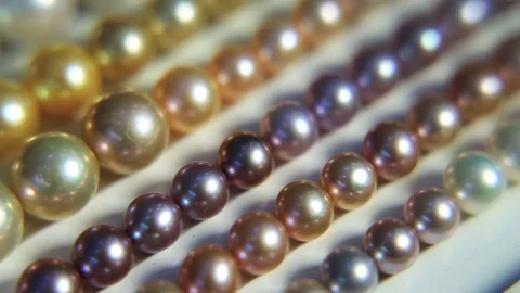 Pearls in the wind. Diagonal movement of the camera Stock Footage 78483935