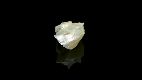 Pearly White Seashell with an Open Spiral on a black background Stock Footage 317478954