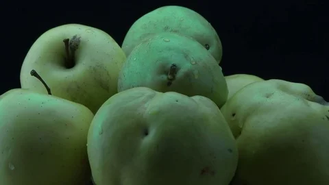 Pears, apples and quinces Video stock 81859600