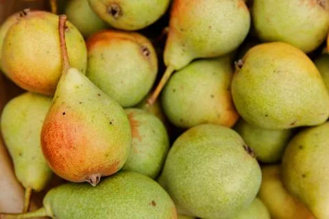 Pears as background, top view Stock Photos