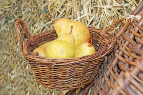 Pears in basket Stock Photos