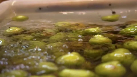Pears being washed Stock Footage 194455154