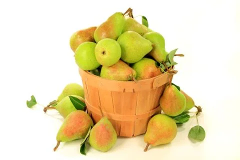Pears in bushel Stock Photos