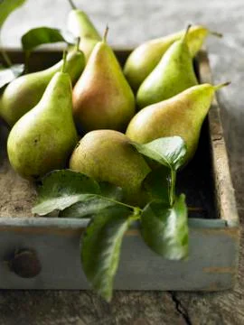 Pears in a drawer Stock Photos