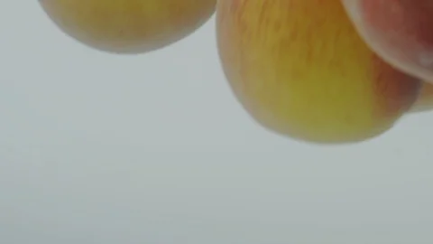 Pears falling in water Stock Footage 98300000