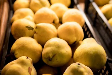 Pears in Florence Stock Photos