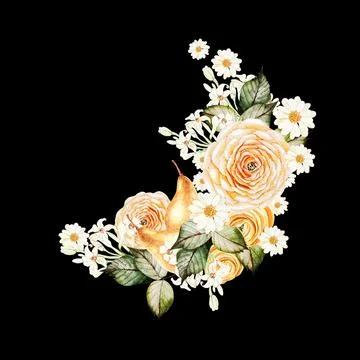 Pears fruit and ranunculus, chamomile  flowers, wreath on black background Stock Illustration