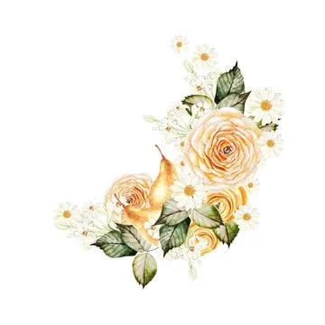 Pears fruit and ranunculus, chamomile  flowers, wreath on white background Stock Illustration
