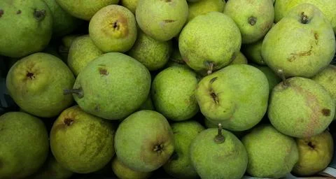 Pears - Fruit Stock Photos