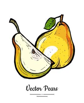 Pears fruit vector isolate Pear whole chopped quarter cut slice leaf hand dra Stock Illustration