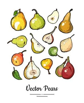 Pears fruit vector isolate set. Pear whole chopped half quarter cut slices pe Stock Illustration